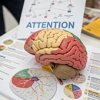Neuropsicología de la Atención