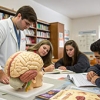 Practica de Neuroanatoamía (Disección)